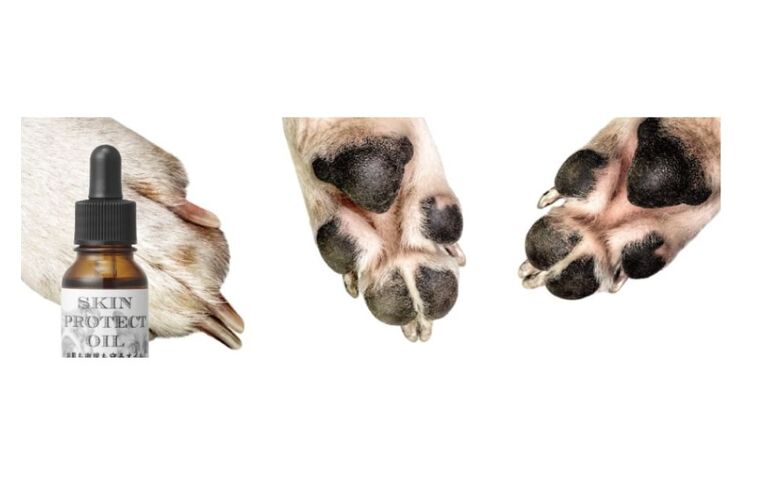 Dog Salon M's-One |グッドスキンデイズ｜肉球ケア　無添加   保湿